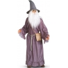 deguisement Gandalf personnage du film le seigneur des anneaux - costume magie et sorcelerie, ZA120S0   