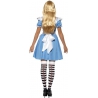 costume Alice au pays des merveilles, deguisement personnage de dessin animé costume Alice au pays des merveilles, deguisement personnage de dessin animé