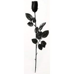 Rose noire en PVC d'environ 23 cm - accessoire déguisement et décoration d'halloween