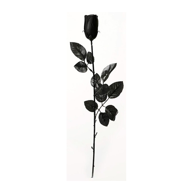 Rose noire en PVC d'environ 23 cm - accessoire déguisement et décoration d'halloween