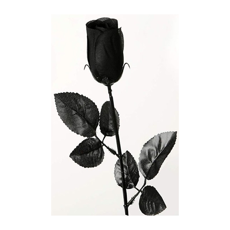 Rose noire halloween, réalisez une décoration de table originale pour halloween