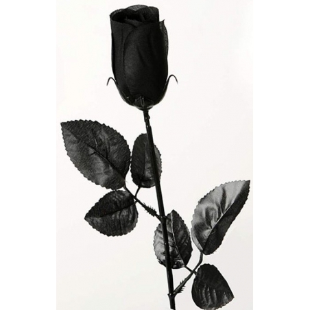Rose noire halloween, réalisez une décoration de table originale pour halloween