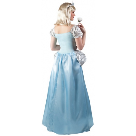 Costume princesse Cendrillon adulte, longue robe avec couronne - thème princes et princesses