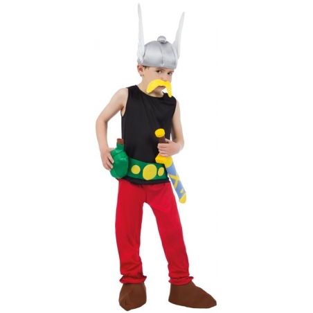 Déguisement Astérix enfant luxe