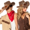 Chapeau cowboy luxe avec plumes - SA051A