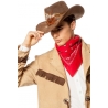 Chapeau cowboy luxe avec plumes idéal pour compléter tous vos costumes western et far west