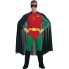 Déguisement Robin adulte - Batman et Robin - DA084S