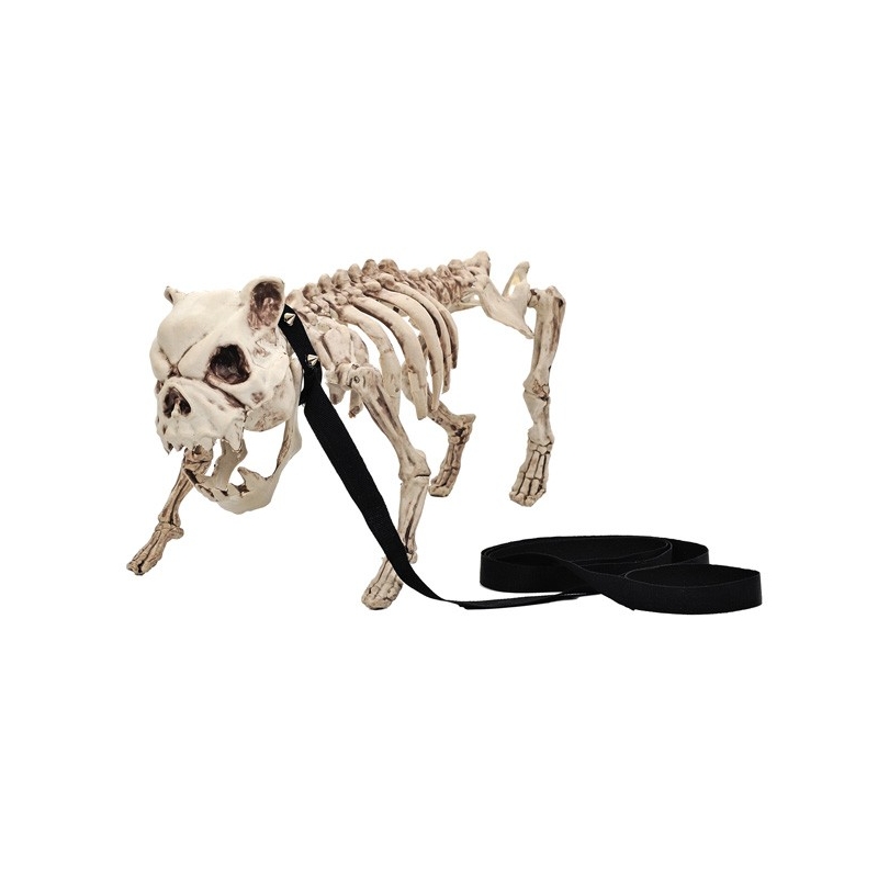 Bouledoque squelette en laisse 50 cm