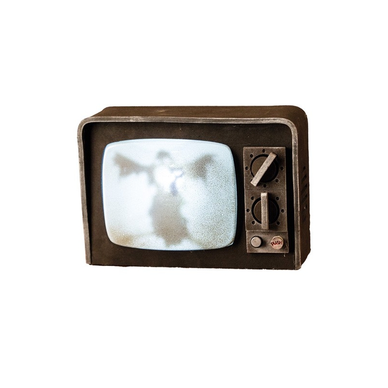 Télévision hantée lumineuse et sonore - VA030A