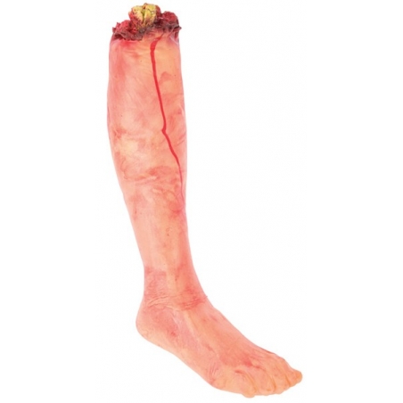 Jambe coupée 55 cm idéale pour compléter tous vos déguisements de zombie Jambe coupée 55 cm idéale pour compléter tous vos déguisements de zombie
