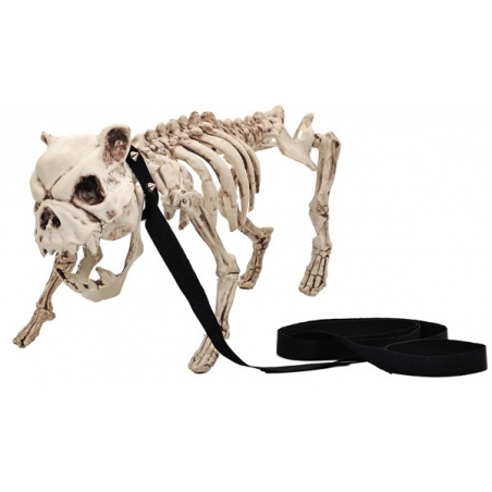 Bouledoque squelette en laisse 50 cm - décoration halloween