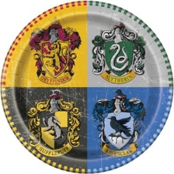Assiettes Harry Potter - assiettes en carton d'un diamètre de 22 cm idéales pour une décoration d'anniversaire Harry Potter