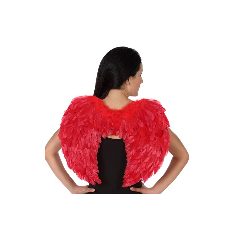 Ailes rouge à plumes 