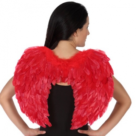 Ailes rouge à plumes Ailes rouge à plumes