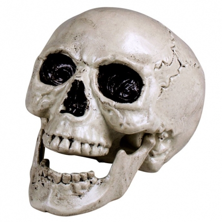 Crâne humain avec mâchoire mobile idéal pour réaliser une décoration pour Halloween