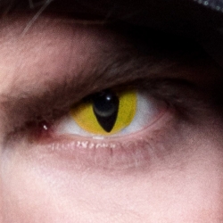 Paire de lentilles jaune reptile utilisable jusqu'à 3 mois après ouverture - Maquillage Halloween