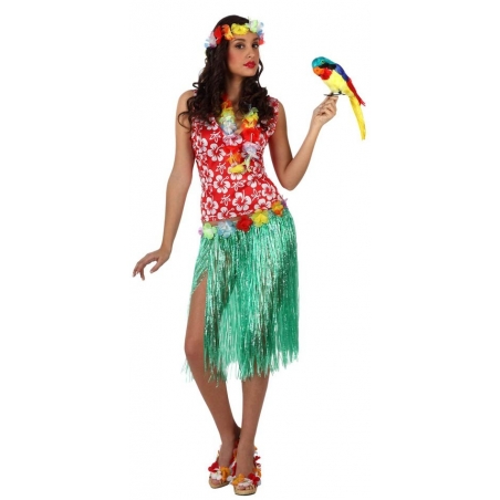 Déguisement hawaienne pour adulte