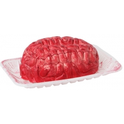 Décoration gore pour halloween, cerveau humain dans une barquette