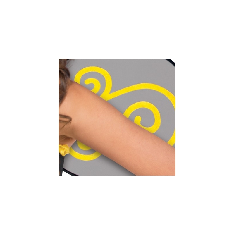 Paire d'ailes d'abeille - déguisement d'abeille pour femme