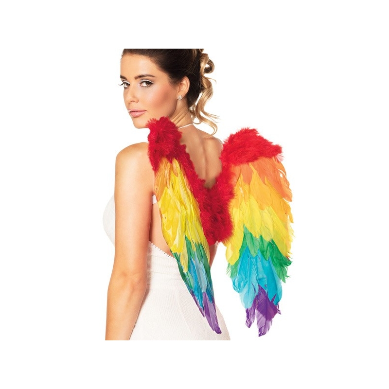 paire d'ailes arc en ciel en plumes idéale pour accessoiriser un déguisement d'oiseau ou d'animal fantastique