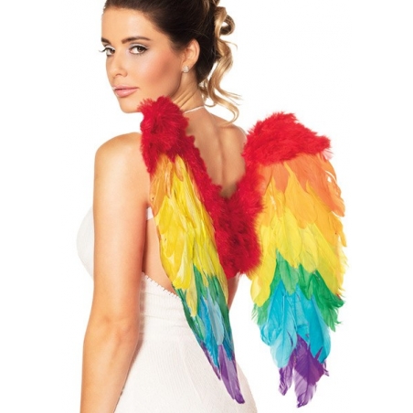 paire d'ailes arc en ciel en plumes idéale pour accessoiriser un déguisement d'oiseau ou d'animal fantastique