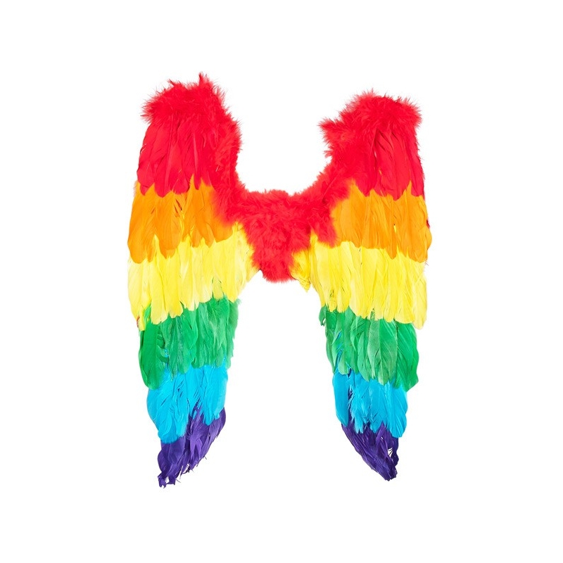 une paire ailes colorée idéale pour réaliser votre déguisement pour le carnaval ou un défilé