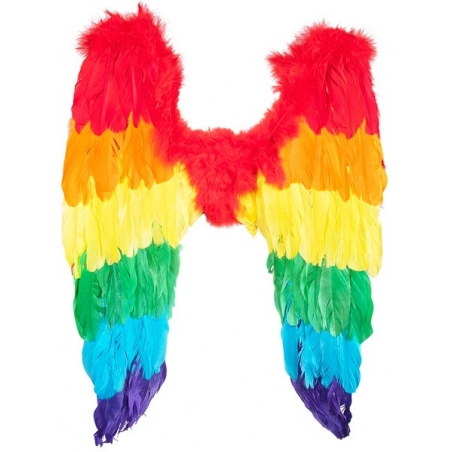 une paire ailes colorée idéale pour réaliser votre déguisement pour le carnaval ou un défilé
