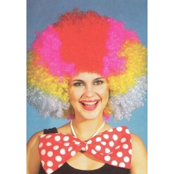perruque afro multicolore