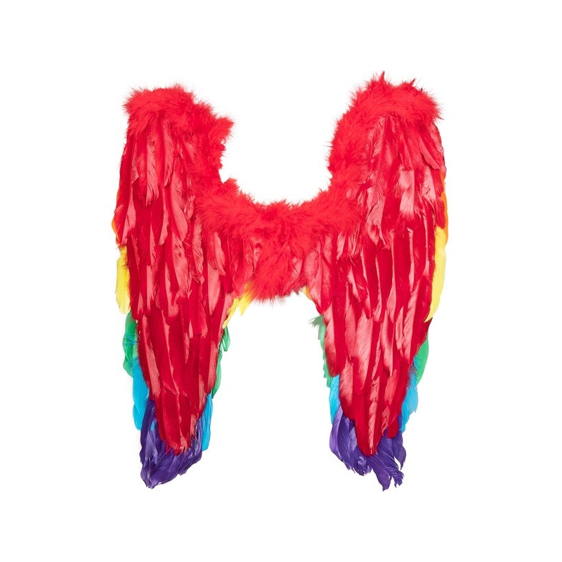 ailes multicolore d'environ 50 x 50 cm - couleur arc en ciel