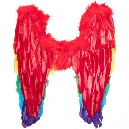 ailes multicolore d'environ 50 x 50 cm - couleur arc en ciel