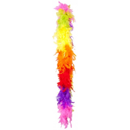 Boa arc en ciel en plumes idéal pour accessoiriser votre tenue de carnaval