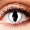 Paire de lentilles blanches yeux de chat - utilisable pendant 3 mois Paire de lentilles blanches yeux de chat - utilisable pendant 3 mois
