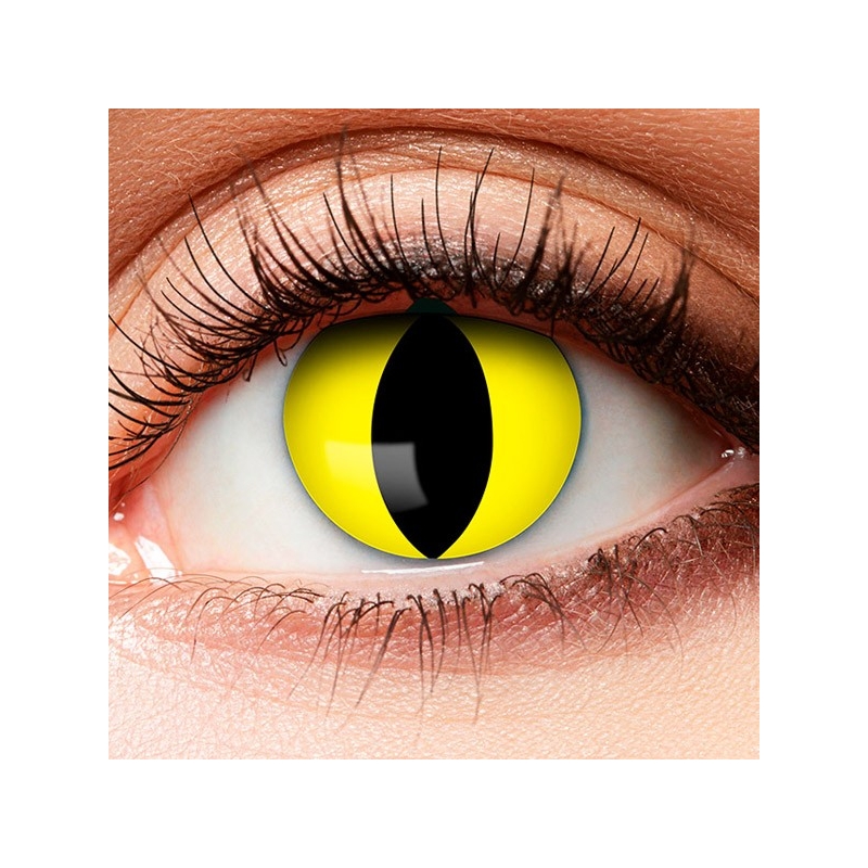 Lentilles jaune et noir reptile
