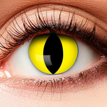 Lentilles jaune et noir reptile