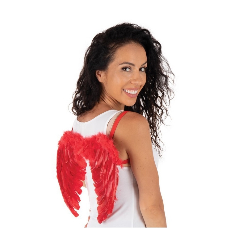 Petites ailes d'ange rouge 40 x 32 cm