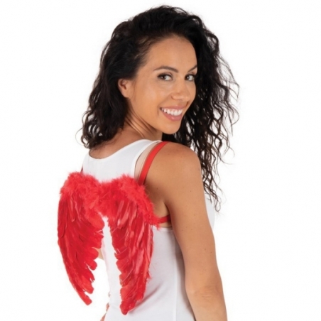 Petites ailes d'ange rouge 40 x 32 cm