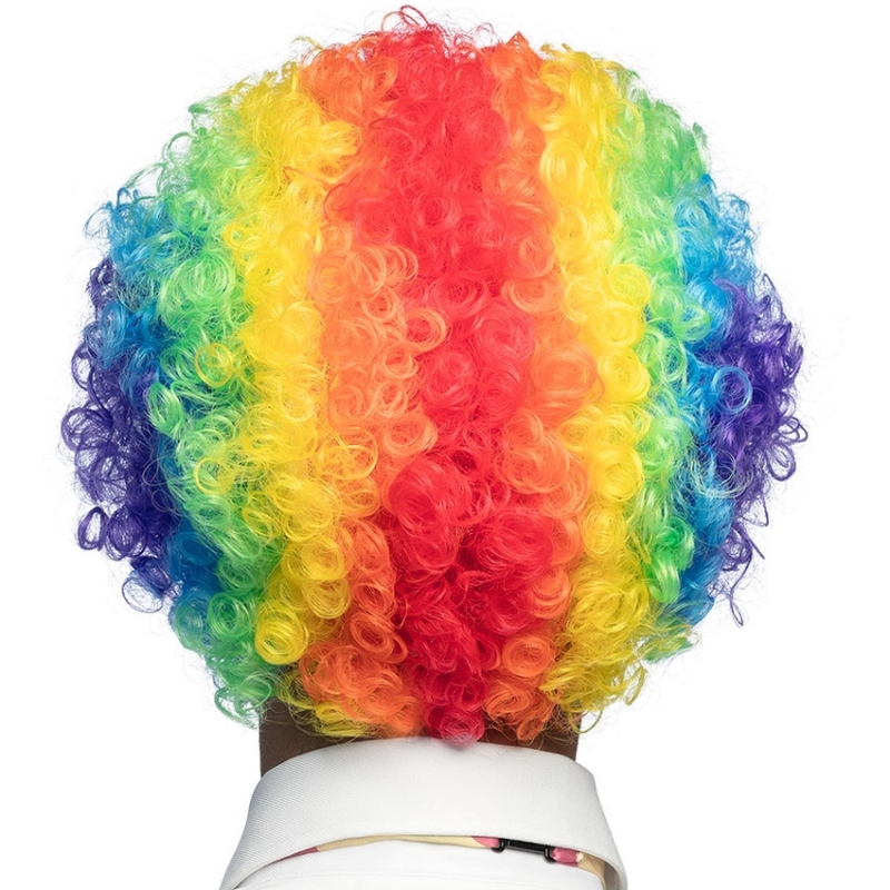 Perruque arc en ciel vue de dos