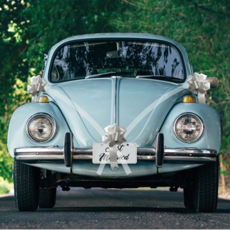 Mariage blanc et argent - Kit de décoration pour voiture