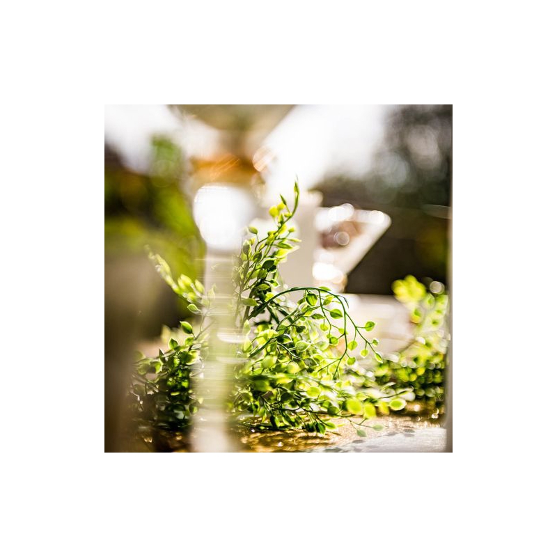 Guirlande mini feuilles rondes pour vos déco de tables