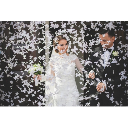 Pluie de confettis blancs lors de la célébration d'un mariage