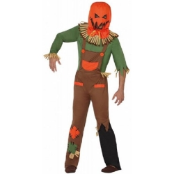 Déguisement épouvantail pour homme idéal pour halloween