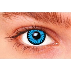 Lentilles Bleues Zoom