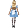 costume Alice au pays des merveilles, deguisement personnage de dessin animé