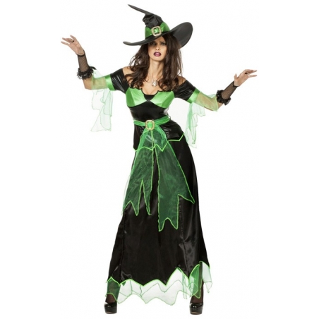 Déguisement sorcière maléfique adulte noir et vert - costume halloween