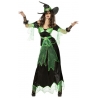 Déguisement sorcière maléfique adulte noir et vert - costume halloween