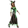 deguisement sorciere adulte noir et vert, ténébreuse et maléfique - deguisements halloween