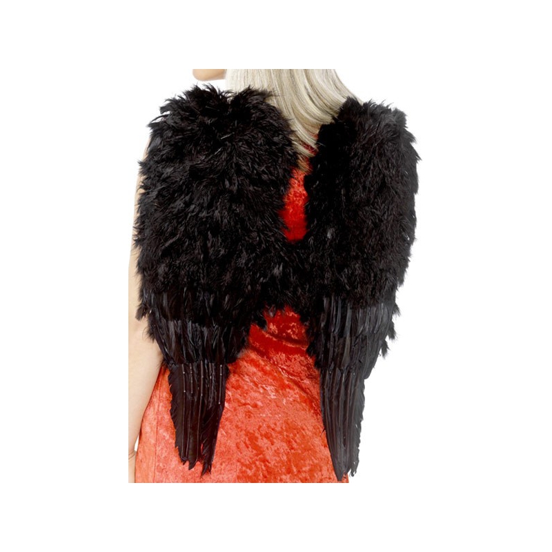 Ailes noires à plumes